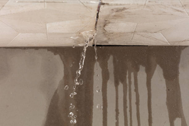Professional Sewage Cleanup technician working in Green Valley, WI